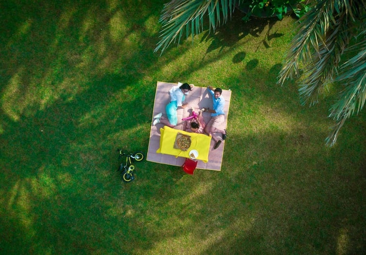 International Picnic Day : வார இறுதியில் பிக்னிக் போக போறீங்களா? இதை பாத்துட்டு போங்க!