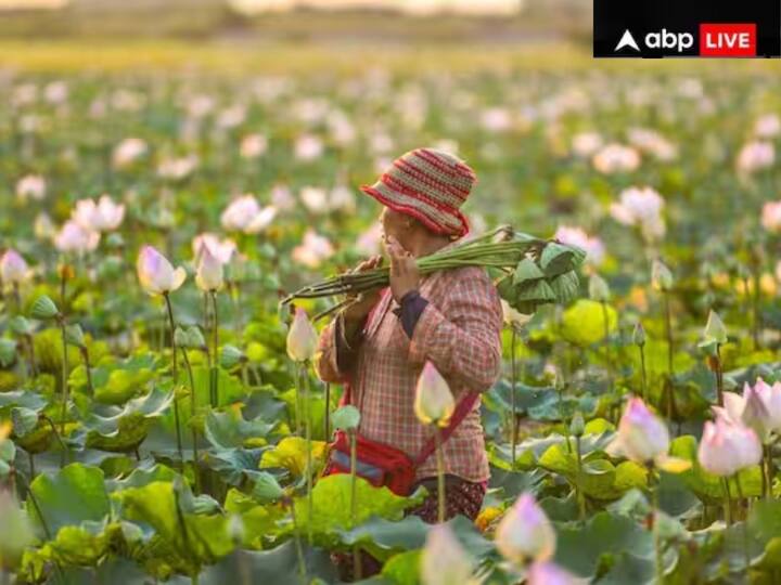 ਨਰਿੰਦਰ ਮੋਦੀ ਬਨਾਰਸ ਵਿੱਚ ਸਿੱਧੇ ਲਾਭ ਟਰਾਂਸਫਰ ਰਾਹੀਂ ਕਿਸਾਨਾਂ ਦੇ ਬੈਂਕ ਖਾਤਿਆਂ ਵਿੱਚ ਇਹ ਰਕਮ ਜਾਰੀ ਕਰਨਗੇ।