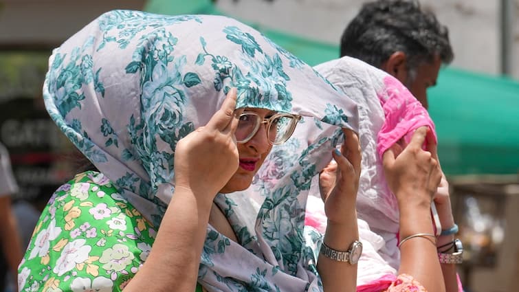 Heatwave: North India Sizzles At 44-46°C, Delhi Hospitals Swamped With Heat  Stroke Patients