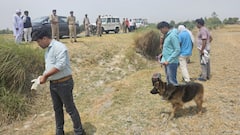 UP: Mutilated Body Parts Found In Prayagraj, Presumed To Be Young Man Brutally Murdered