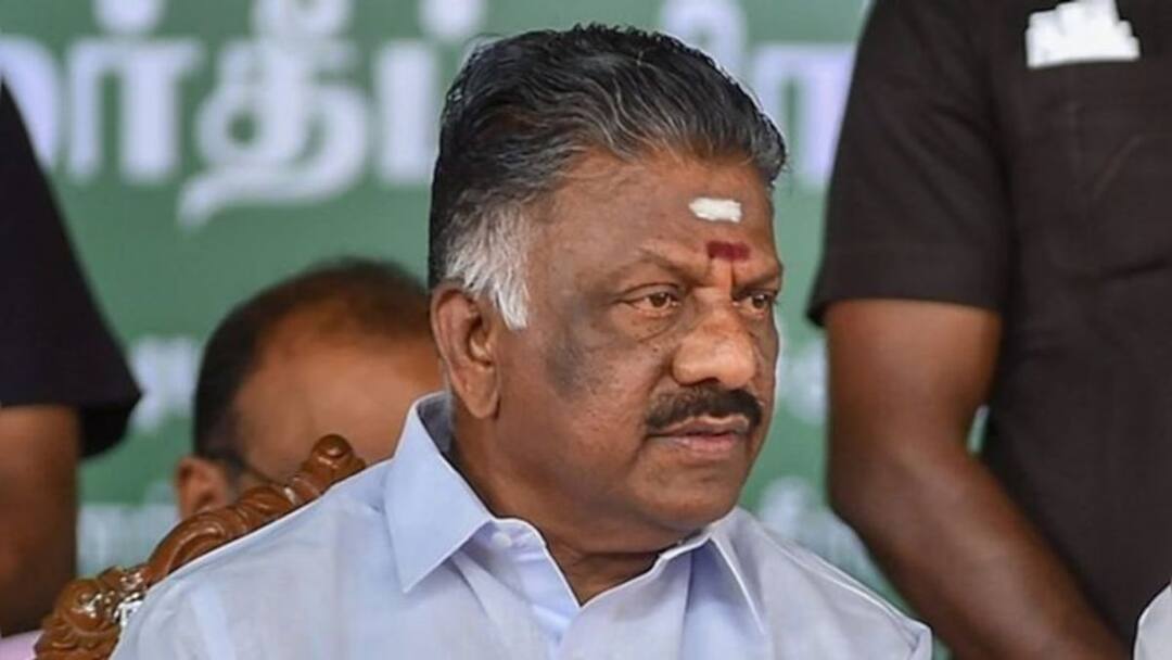 OPS: உடனடியாக நெல்கொள்முதல் விலையை உயர்த்த வேண்டும் - ஓ.பி.எஸ். வலியுறுத்தல்!