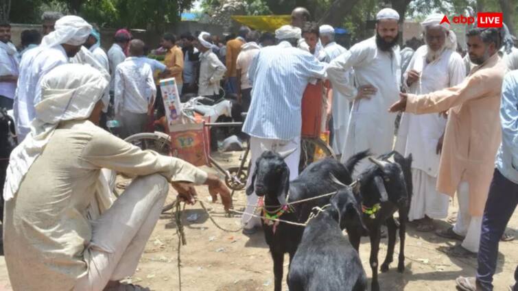 Delhi Jain Community people spend 11 lakh rupees and bought 127 goats to save them from sacrifice on Bakrid मुस्लिमों के कपड़े पहनकर 11 लाख खर्च किए और ईद पर कुर्बानी से बचा लिए 127 बकरे, जानें किसने उठाया यह कदम?