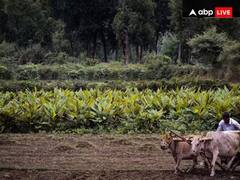 PM-Kisan Samman Nidhi:  ਨੌਂ ਕਰੋੜ ਤੋਂ ਵੱਧ ਕਿਸਾਨਾਂ ਦੀ ਬੱਲੇ- ਬ੍ੱਲੇ ! PM ਫਿਰ ਦੇਣਗੇ ਸੌਗਾਤ, 20 ਹਜ਼ਾਰ ਕਰੋੜ ਤੋਂ ਵੱਧ ਦਾ ਮਿਲੇਗਾ ਲਾਭ