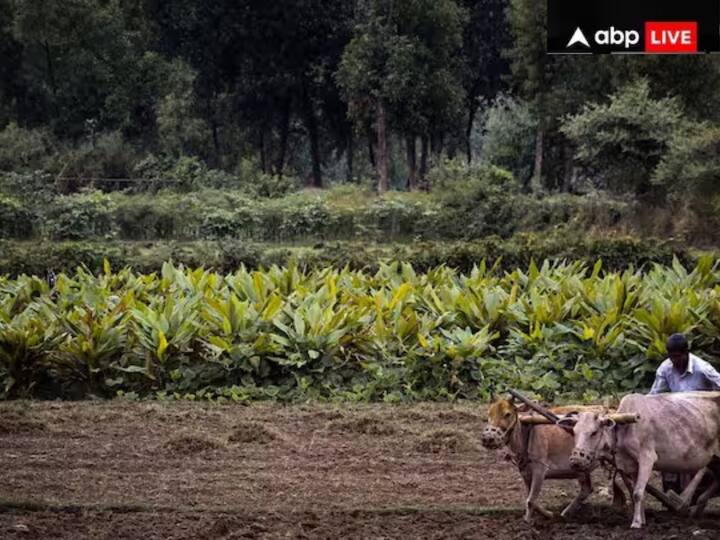 ਪ੍ਰਧਾਨ ਮੰਤਰੀ ਕਾਸ਼ੀ ਵਿੱਚ 20 ਹਜ਼ਾਰ ਕਰੋੜ ਰੁਪਏ ਤੋਂ ਵੱਧ ਦੀ ਕਿਸਾਨ ਸਨਮਾਨ ਨਿਧੀ ਦੀ 17ਵੀਂ ਕਿਸ਼ਤ ਜਾਰੀ ਕਰਨਗੇ।