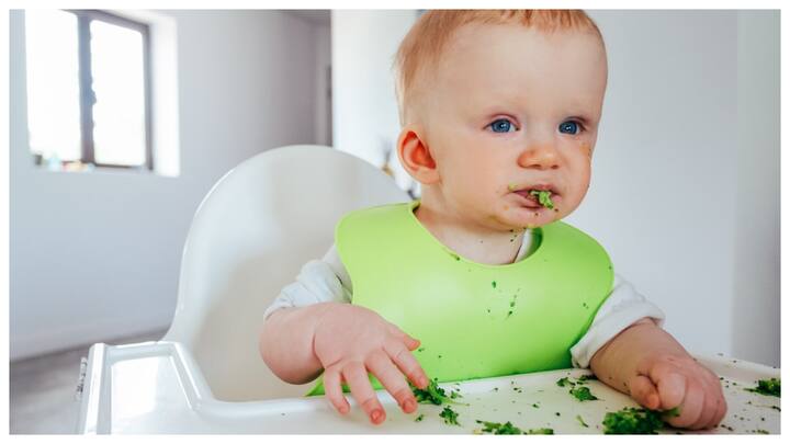 केला : केला एक बहुत ही पौष्टिक फल है. इसमें कार्बोहाइड्रेट और कैलोरी की मात्रा अधिक होती है, जो बच्चों के वजन बढ़ाने में मदद करता है. इसे मैश करके बच्चे को दूध में मिक्स करके आसानी से खिलाया जा सकता है.