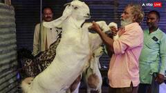 Eid Ul Adha 2024: पिछले साल से ज्यादा दी गई इसबार कुर्बानी, ईद-उल-अजहा पर 1.04 करोड़ जानवर किए गए कुर्बान