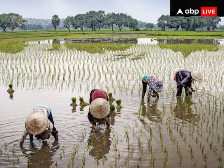 ਪ੍ਰਧਾਨ ਮੰਤਰੀ ਨਰਿੰਦਰ ਮੋਦੀ ਅੱਜ ਆਪਣੇ ਸੰਸਦੀ ਖੇਤਰ ਵਾਰਾਣਸੀ (ਯੂਪੀ) ਵਿੱਚ ਪ੍ਰਧਾਨ ਮੰਤਰੀ ਕਿਸਾਨ ਸਨਮਾਨ ਸੰਮੇਲਨ ਵਿੱਚ ਹਿੱਸਾ ਲੈਣਗੇ।