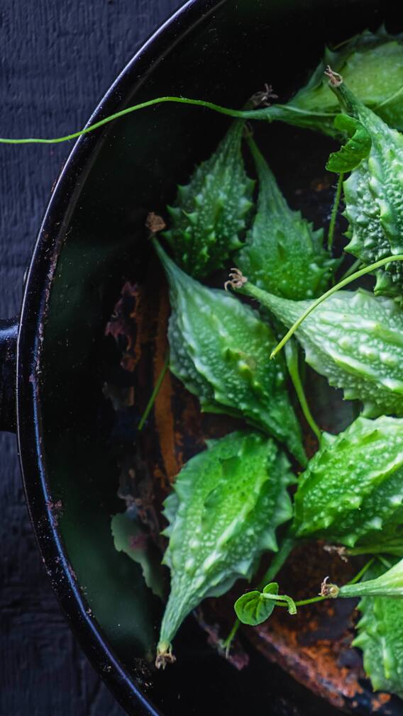 Amazing Health Benefits Of Bitter Gourd For Skin, Hair And More