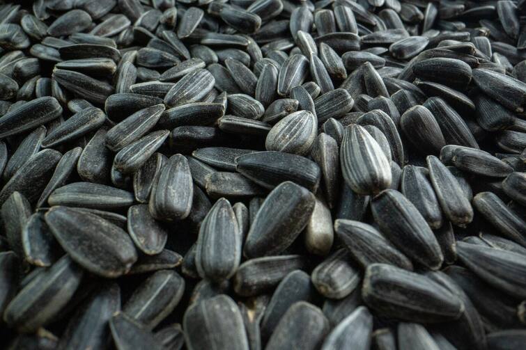 Consume these 5 seeds before baby planning  it increases the fertility of women quickly Women Health : બેબી પ્લાનિંગ પહેલા આ 5 સીડસનું કરો સેવન, ઝડપથી વધારે છે મહિલાની ફર્ટિલિટી