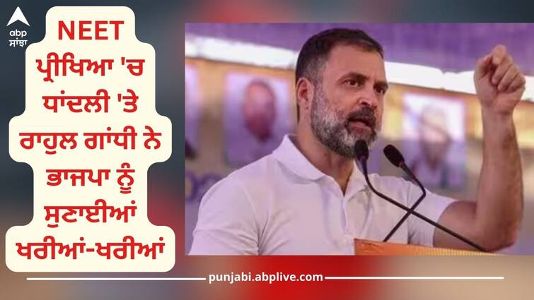 congress rahul gandhi attack on pm modi over neet exam case details inside NEET ਪ੍ਰੀਖਿਆ 'ਚ ਧਾਂਦਲੀ 'ਤੇ ਰਾਹੁਲ ਗਾਂਧੀ ਨੇ ਭਾਜਪਾ ਨੂੰ ਸੁਣਾਈਆਂ ਖਰੀਆਂ-ਖਰੀਆਂ ਕਿਹਾ, 'BJP ਸ਼ਾਸਿਤ ਸੂਬੇ ਪੇਪਰ ਲੀਕ ਦੇ ਕੇਂਦਰ ਬਣ ਚੁੱਕੇ ਹਨ'