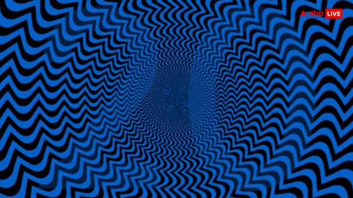 अंतर ढूंढने वाली तस्वीरें अक्सर दूसरे खेलों से ज्यादा फायदेमंद होती है. इससे दिमाग और आंखों की सेहत के बारे में पता चलता है. यह खेल खेलने के लिए आपको कहीं और जाने की जरूरत नहीं है, हम आपके लिए आज कल और हर रोज ऐसे मजेदार क्विज लाते रहेंगे. आइए आपको ले चलते हैं ऐसी ही एक तस्वीर की ओर.