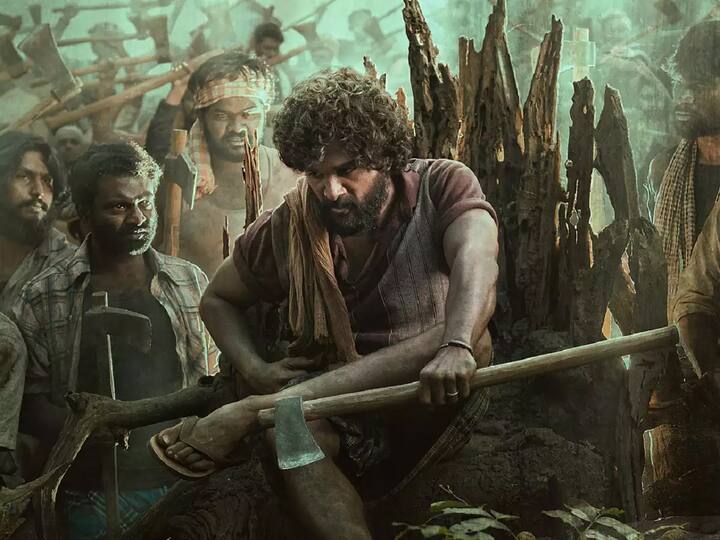 2021ம் ஆண்டு வெளியான புஷ்பா : தி ரைஸ் படத்தின் வசூலை காட்டிலும் இப்படம் அதிகம் வசூலிக்கும் என எதிர்பாக்கப்படுகிறது.