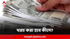 মাসে রোজগার ৭ লক্ষ টাকা, খরচের উপায় খুঁজতে গিয়ে নাকাল দম্পতি!