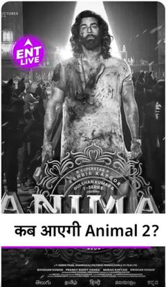 Animal 2 को लेकर सामने आया बड़ा Update , Pushpa 2 की Release Date हुई Announce