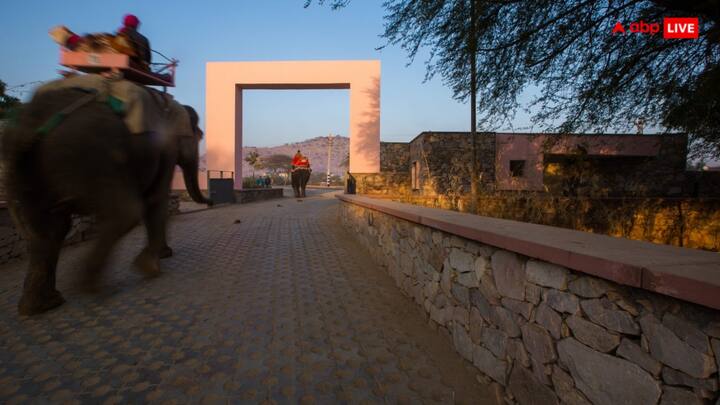 भारत के लगभग हर गांव में पशुपालन किया जाता है और ज्यादातर गांवों की इकोनॉमी पशुपालन और खेती पर निर्भर रहती है. आज हम आपको एक खास गांव के बारे में बताने जा रहे हैं, जिसकी खासियत सुन आप भी हैरान रह जाएंगे.