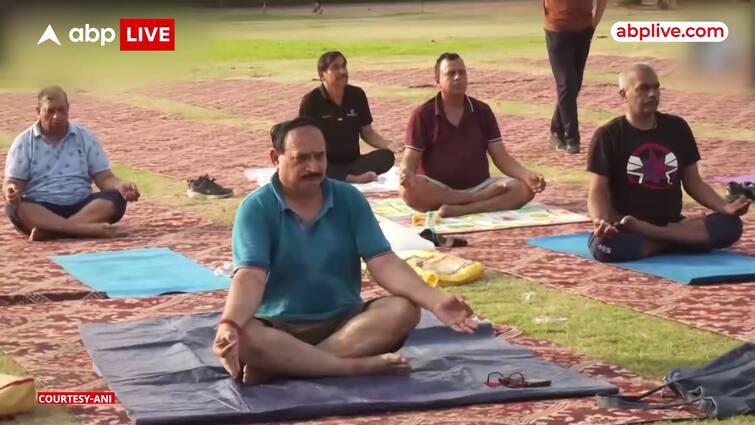 NDMC Organises Yoga Camps In Delhi Ahead Of International Yoga Day; Locals Participate In Large Number