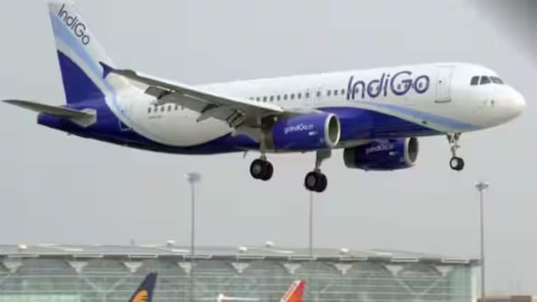 Mumbai-Bound Indigo Flight Forced To Make Emergency Landing After Bomb Threat Bomb Threats: இமெயில் மூலம் வெடிகுண்டு மிரட்டல்.. சென்னை நோக்கி பறந்த விமானம் பாதி வழியில் தரையிறக்கம்