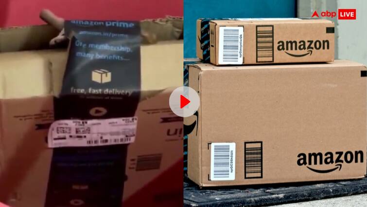 Poisonous snake was found inside a parcel ordered from Amazon video goes viral Video: कपल ने Amazon से मंगवाया ऑनलाइन सामान, पैकेज में निकला जहरीला सांप, देखें  रूह कंपाने वाला वीडियो