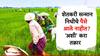 पीएम शेतकरी सन्मान निधीचे 2000 रुपये अद्याप आले नाही? मग तक्रार कुठे करावी? जाणून घ्या A टू Z माहिती