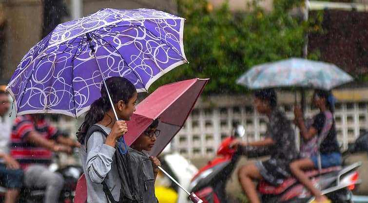 सुबह से भोपाल में रिमझिम बरसे बादल, कई जगहों पर झमाझम बरसात, 22 जिलों में आंधी-बारिश का अलर्ट