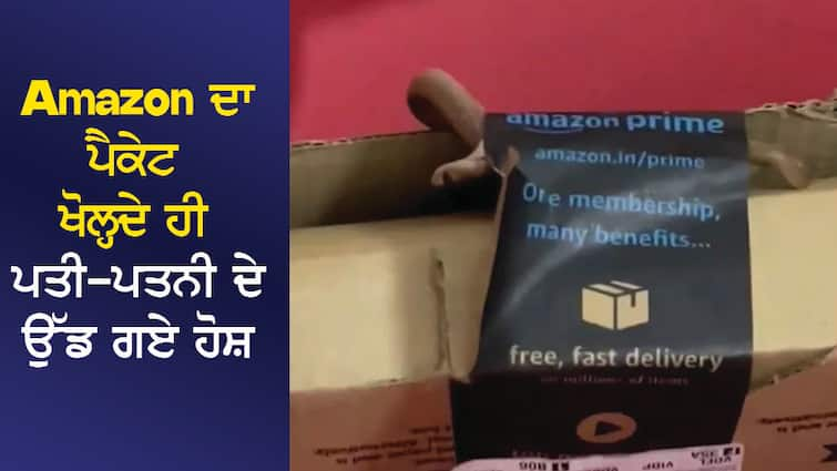 As soon as the Amazon package was opened, the husband and wife were blown away, a cobra came out of the box, then... Amazon ਦਾ ਪੈਕੇਟ ਖੋਲ੍ਹਦੇ ਹੀ ਪਤੀ-ਪਤਨੀ ਦੇ ਉੱਡ ਗਏ ਹੋਸ਼, ਡੱਬੇ 'ਚੋਂ ਨਿਕਲਿਆ ਕੋਬਰਾ, ਫਿਰ...