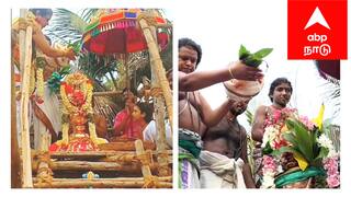 15 ஆண்டுகளுக்கு பிறகு நடைபெற்ற சுப்பிரமணிய சுவாமி திருக்கோயில் குடமுழுக்கு விழா