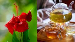 Home Remedies : இதயத்தை காக்கும் செம்பருத்தி பூ.. இப்படி பயன்படுத்துங்க!