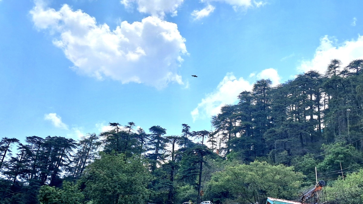 Himachal Weather: हिमाचल में बढ़ती गर्मी से मिलेगी राहत, अगले दो दिन बारिश का अलर्ट, कब होगी मानसून की एंट्री?