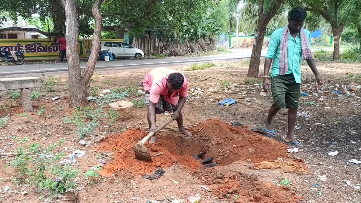 திடீர் கொத்துக்கொத்தாக கீழே விழுந்த காகங்கள்; காப்பாற்ற முயன்ற இளைஞர்கள் - கடைசியில் நேர்ந்த சோகம்