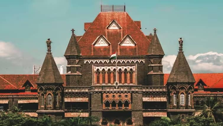RTE Admissions Bombay High Court said cant keep admission of kids in a limbo next hearing in july marathi news RTE Admission :  आरटीई बाबतची माहिती देण्यास शाळांकडून टाळाटाळ, राज्य सरकारची हायकोर्टात तक्रार, सुनावणी जुलैपर्यंत तहकूब