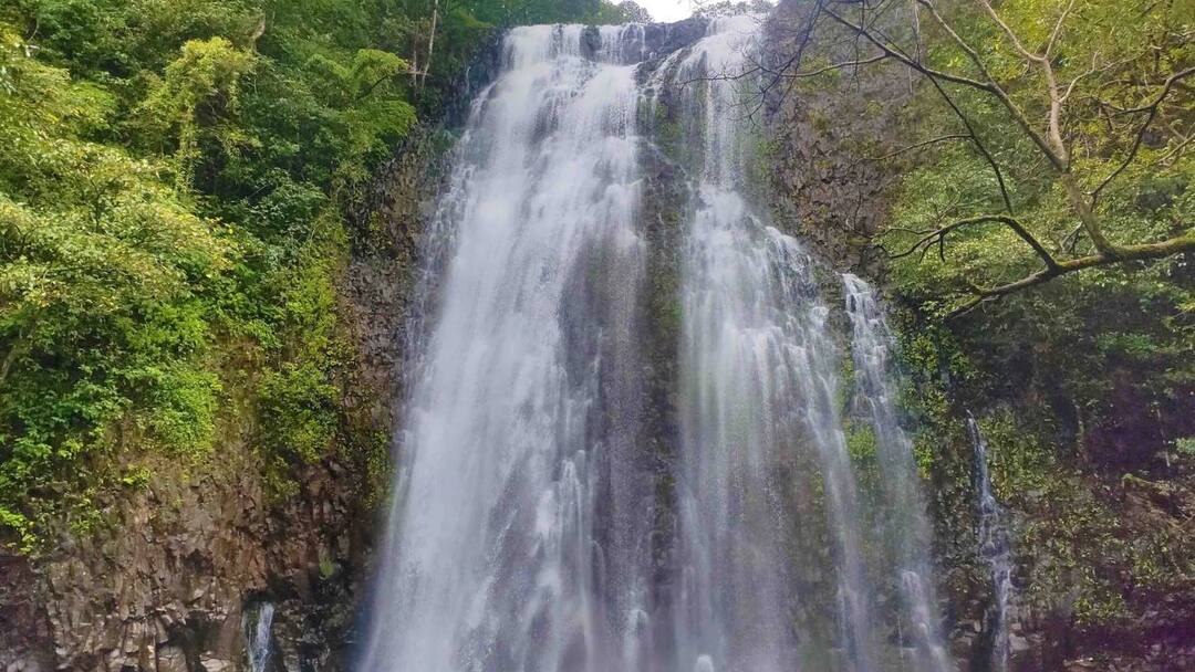 Radhanagari Waterfall : तर तीन वर्षांचा कारावास अन् 25 हजारांचा दंड! राधानगरी तालुक्यात कोणकोणत्या धबधब्यावर बंदी? kolhapur news three years of imprisonment and a fine of 25 thousand know the Which waterfalls are banned in Radhanagari taluka Radhanagari Waterfall : तर तीन वर्षांचा कारावास अन् 25 हजारांचा दंड! राधानगरी तालुक्यात कोणकोणत्या धबधब्यावर बंदी?