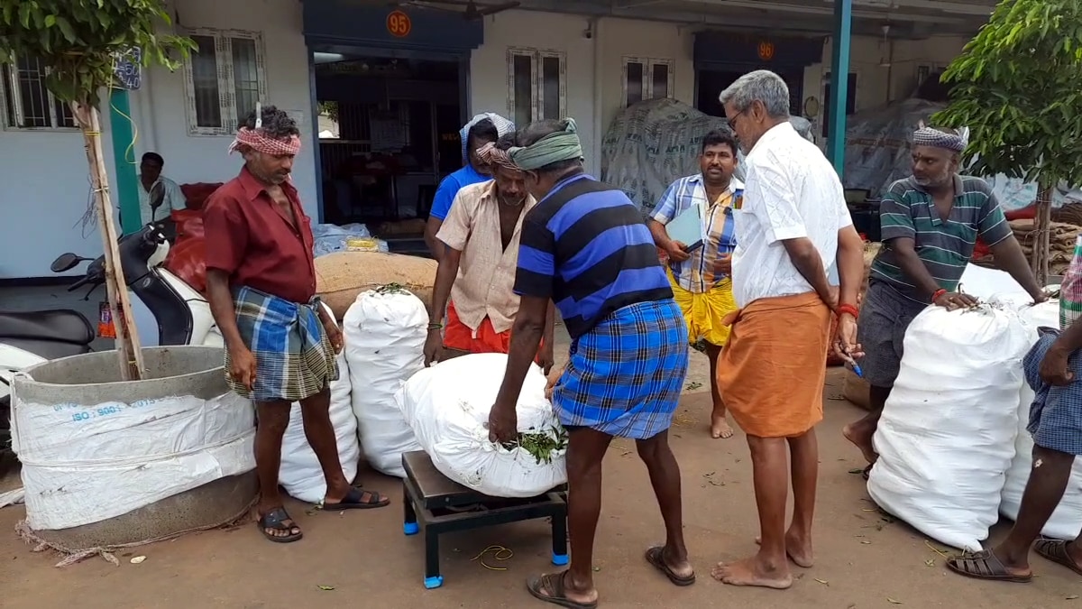 ஒட்டன்சத்திரம் காய்கறி மார்க்கெட்டில் கிலோ ரூ.100 ஐ தாண்டி விற்பனையான முருங்கைக்காய்