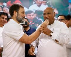 Rahul Gandhi Birthday: किसी ने कंधे पर बनाया 'राहुल भैया' का टैटू, किसी ने लाड़ में पकड़े गाल, तस्वीरों में देखें कैसे मना कांग्रेस सांसद का बर्थडे