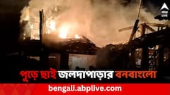 ভয়াবহ আগুনে ভস্মীভূত জলদাপাড়ার ঐতিহাসিক হলং বনবাংলো