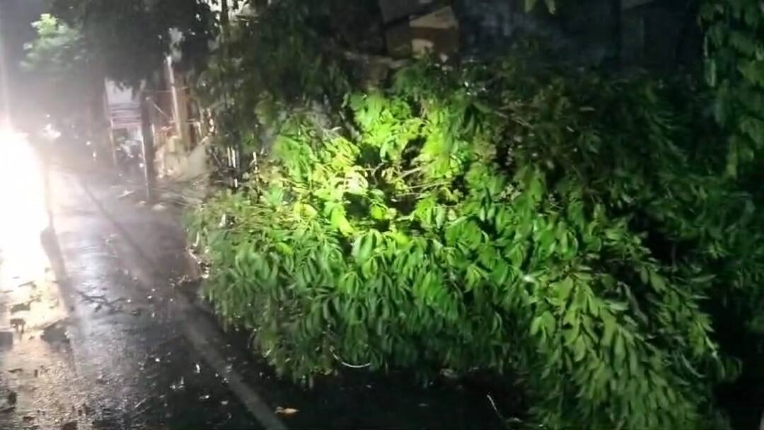 Kanchipuram Rain : சில மணிநேரத்தில் 24.3 சென்டிமீட்டர் மழை.. கனமழையால் தலைகீழாக மாறிய காஞ்சிபுரம்.. Kanchipuram rain Do you know where and how much rain fell in Kanchipuram district? tnn Kanchipuram Rain : சில மணிநேரத்தில் 24.3 சென்டிமீட்டர் மழை.. கனமழையால் தலைகீழாக மாறிய காஞ்சிபுரம்..