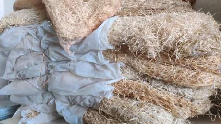 इसके अलावा आप कूलर की खिड़कियों पर लगी घास को चेंज कर सकते हैंं. नई घास के लगाने से कूलर ठंडी और तेज हवा देता. .