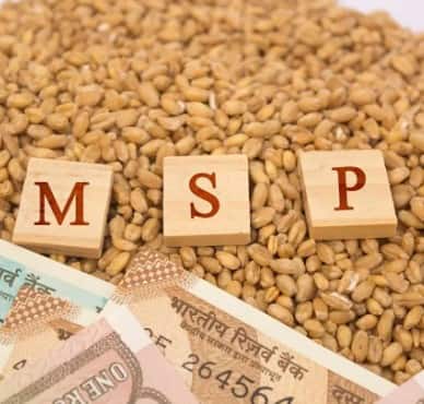 ਕਿਸਾਨਾਂ ਨੂੰ ਵੱਡੀ ਰਾਹਤ! 14 ਫਸਲਾਂ 'ਤੇ ਮਿਲੇਗੀ MSP