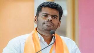 ஓபிஎஸ்-டிடிவி கூட்டணி அவசியம்! விஜய் அரசியல், திமுக பயம், தேர்தல் வியூகம் அம்பலம் - அண்ணாமலையின் முழு பேட்டி !