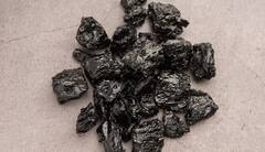 શિલાજીતમાં એવું શું હોય છે, જેનાથી શરીરને મળે છે ભરપૂર તાકાત, શું તમે જાણો છો ?