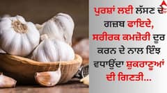 Garlic Banifits: ਪੁਰਸ਼ਾਂ ਲਈ ਲੱਸਣ ਦਾ ਸੇਵਨ ਵਰਦਾਨੀ, ਜਾਣੋ ਸਰੀਰ ਦੇ ਅੰਗਾਂ ਨੂੰ ਕਿਵੇਂ ਬਣਾਉਂਦਾ ਮਜ਼ਬੂਤ?