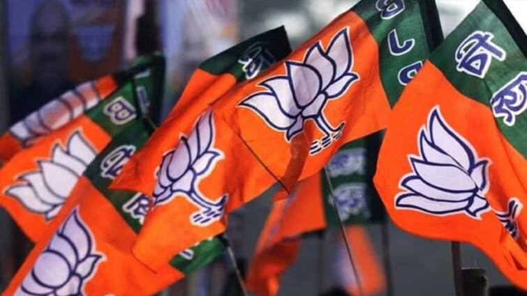 UP kanpur sisamau assembly seat by poll BJP leaders stake claim for ticket after Irfan Solanki Jail ann सपा नेता इरफान सोलंकी की सीट पर बीजेपी की नजर, टिकट की दौड़ में कई दिग्गज नेता शामिल