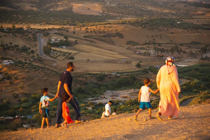 दरअसल हम इस्लामिक देश सऊदी अरब की बात कर रहे हैं. यहां का नेशनल एनिमल ऊंट है.