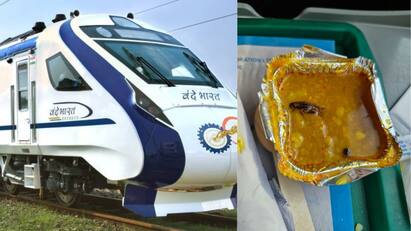 Cockroach Found In Meal Served In Vande Bharat Train, IRCTC Responds Vande Bharat Train: வந்தே பாரத் ரயில் உணவில் கரப்பான் பூச்சி: ரயில்வே தெரிவித்தது என்ன?