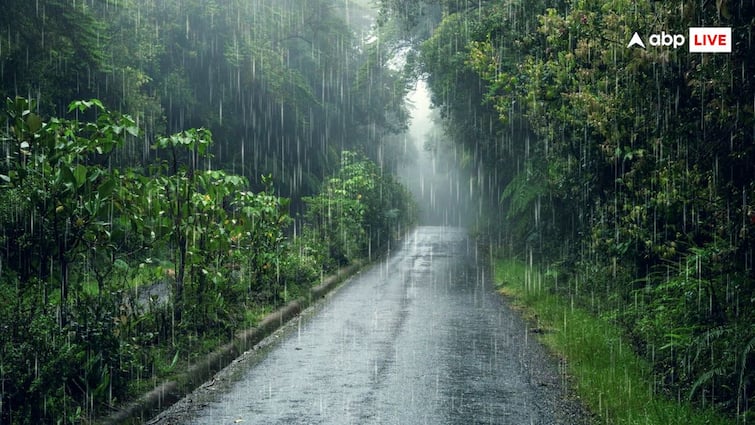 normal rain in Punjab and Haryana  IMD forecast Monsoon will reach Punjab within a week after reaching Haryana Punjab Weather Update: ਮਾਨਸੂਨ ਦੀ ਹਰਿਆਣਾ ਰਾਹੀਂ ਐਂਟਰੀ, ਹਿਮਾਚਲ 'ਚ ਬਾਰਸ਼ ਦਾ ਕਹਿਰ, ਹੁਣ ਪੰਜਾਬ ਦੀ ਵਾਰੀ