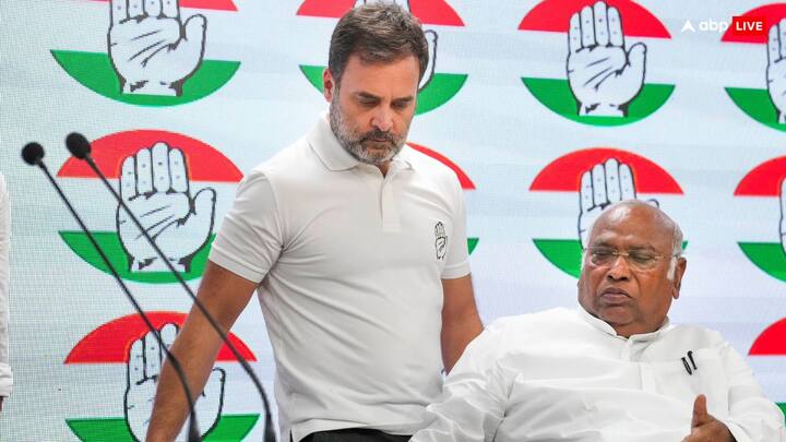 54 साल के राहुल गांधी सोनिया गांधी और दिवंगत राजीव गांधी के बेटे (बड़ी संतान) हैं.