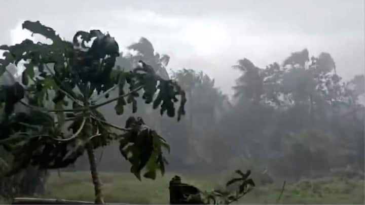 বৃহস্পতিবার আলিপুর আবহাওয়া দফতরের তরফে জানানো হয়েছে, উত্তরবঙ্গের মালদা, উত্তর ও দক্ষিণ দিনাজপুর এবং প্রতিবেশী রাজ্য বিহারের কিছু অংশে ইতিমধ্যে দক্ষিণ পশ্চিম মৌসুমি বায়ু পৌঁছে গেছে। (ছবি সৌজন্য- পিটিআই)