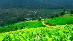 IRCTC Tour: मानसून में करें केरल की करें सैर, आईआरसीटीसी लाया है स्पेशल टूर पैकेज