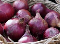 ​Onion Price: ਆਖ਼ਰ ਕਿਉਂ ਵਧ ਰਹੇ ਨੇ ਪਿਆਜ਼ ਦੇ ਭਾਅ ? ਸਮਝੋ ਵਪਾਰੀਆਂ ਦੀ ਚਾਲ...!