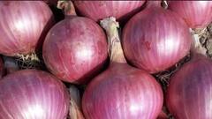 ​Onion Price: ਆਖ਼ਰ ਕਿਉਂ ਵਧ ਰਹੇ ਨੇ ਪਿਆਜ਼ ਦੇ ਭਾਅ ? ਸਮਝੋ ਵਪਾਰੀਆਂ ਦੀ ਚਾਲ...!