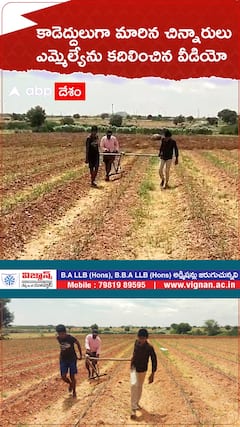 కాడెద్దులుగా పొలం దున్నుతున్న చిన్నారులు | ABP Desam